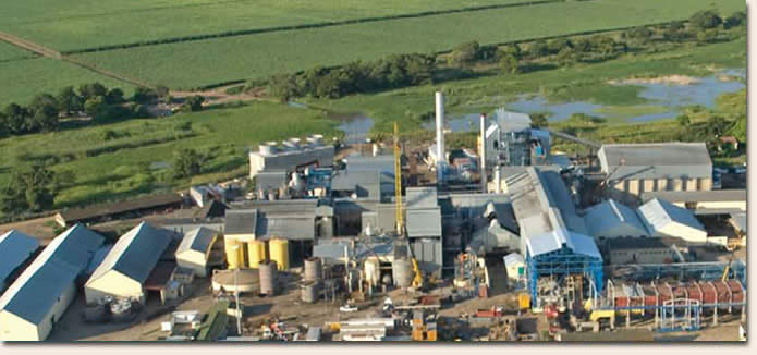 Tongaat Hulett Crisis: Can South Africa Save Its 134-Year-Old Sugar Giant?